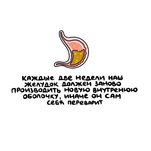 Факты, которые удивят вас: Увлекательная подборка информации (15 фото)
