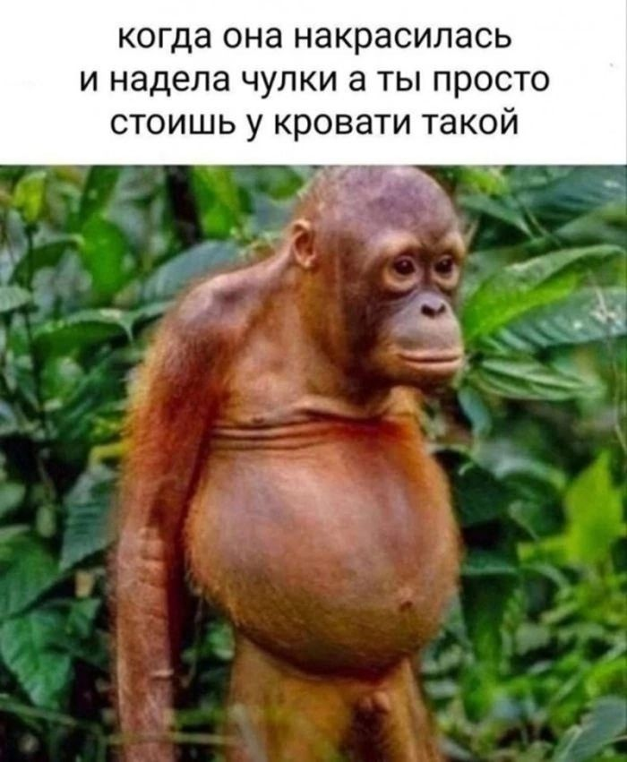 Черный юмор в изобилии: шутки, которые разрывают шаблоны