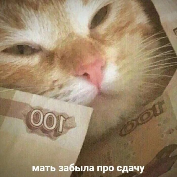 Черный юмор в изобилии: шутки, которые разрывают шаблоны
