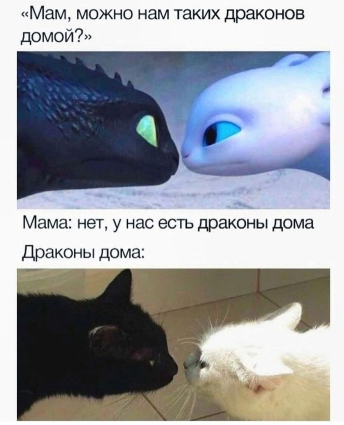 Черный юмор в изобилии: шутки, которые разрывают шаблоны