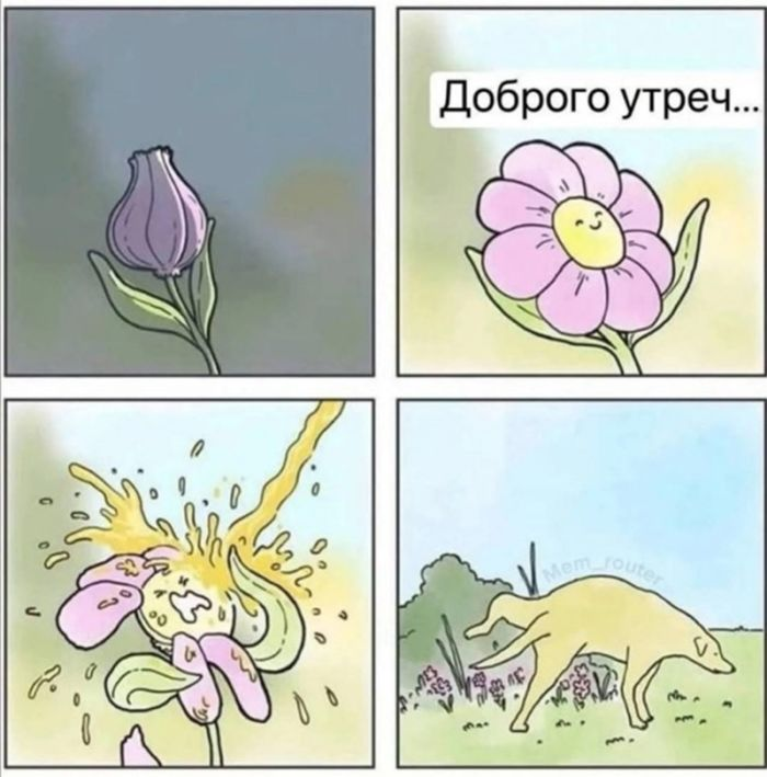 Черный юмор в изобилии: шутки, которые разрывают шаблоны