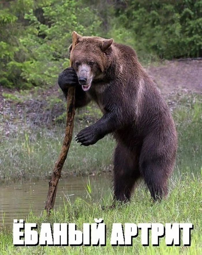 Шаловливые шутки и искусные иллюстрации: черный юмор в мемах