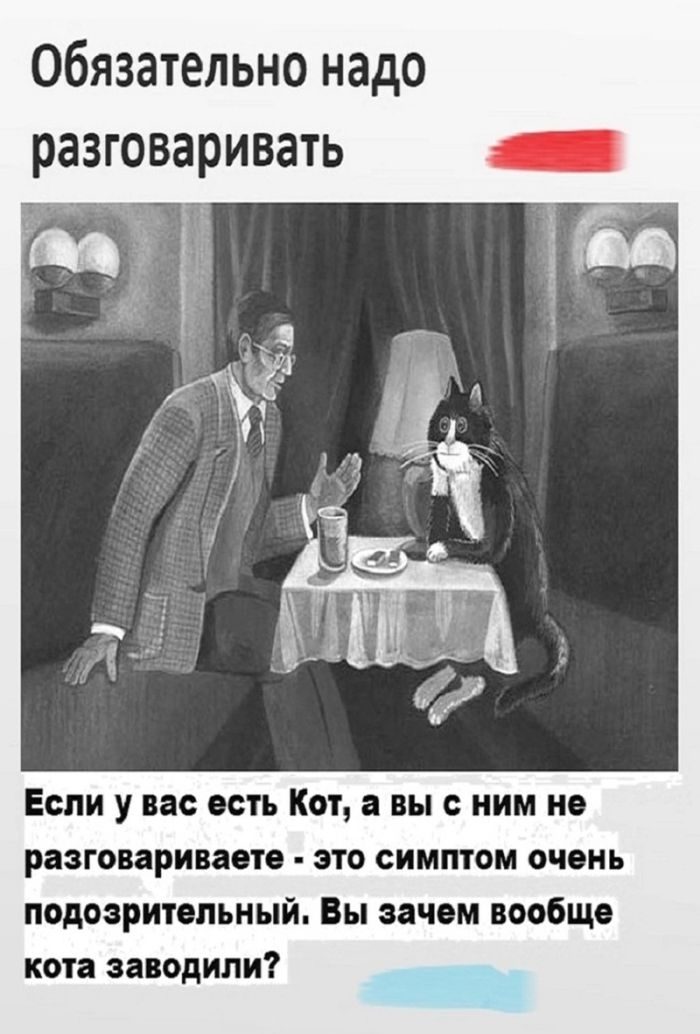 Шаловливые шутки и искусные иллюстрации: черный юмор в мемах