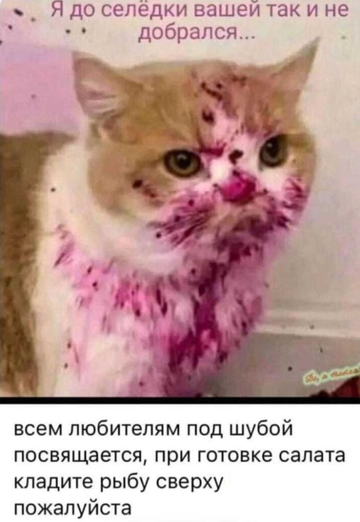 Шаловливые шутки и искусные иллюстрации: черный юмор в мемах