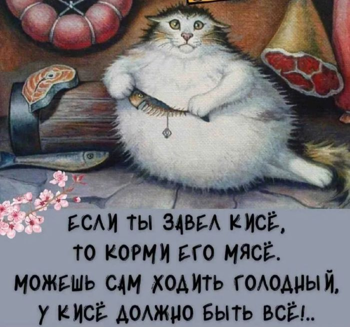 Пятничные веселые картинки: настроение на высоте!