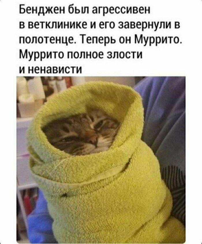 Пятничные веселые картинки: настроение на высоте!