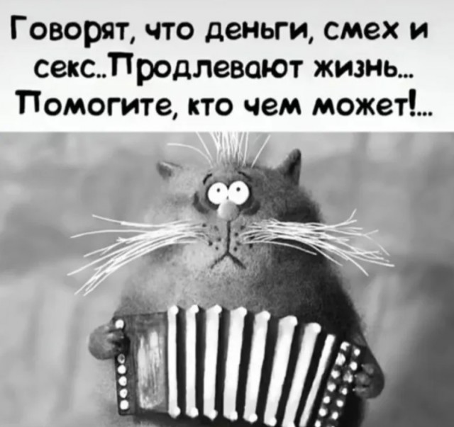 Пятничные веселые картинки: настроение на высоте!