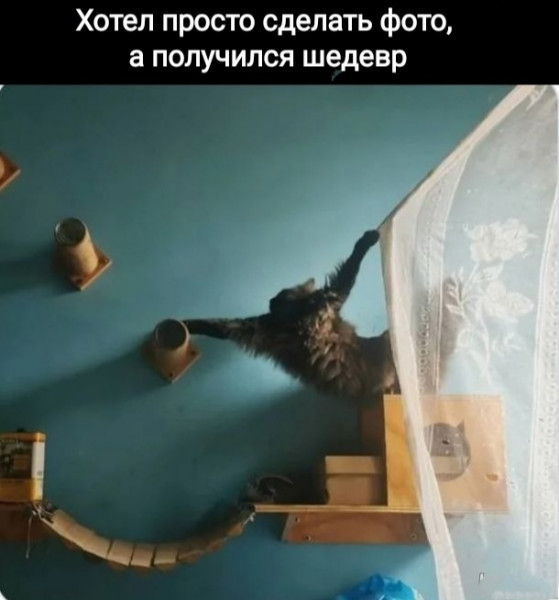 Пятничные веселые картинки: настроение на высоте!