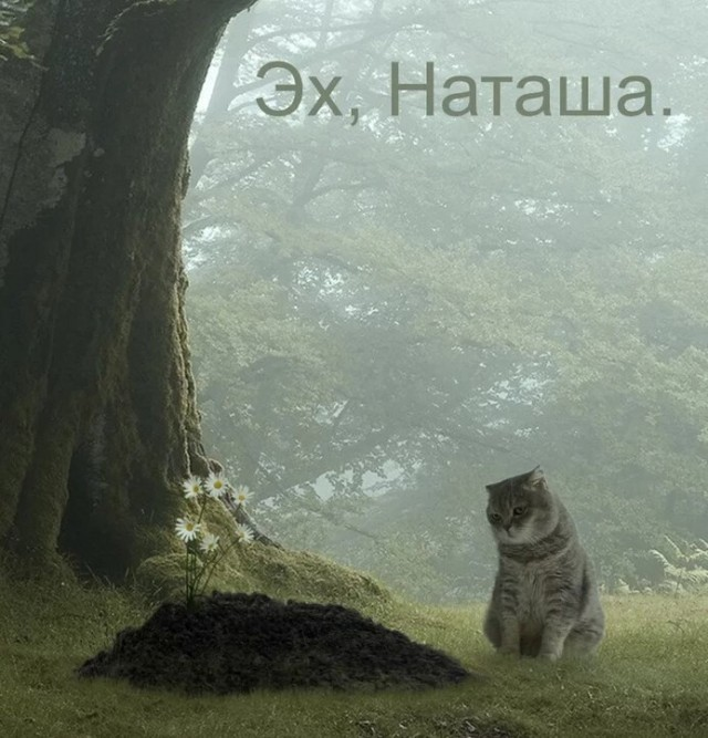 Пятничные веселые картинки: настроение на высоте!