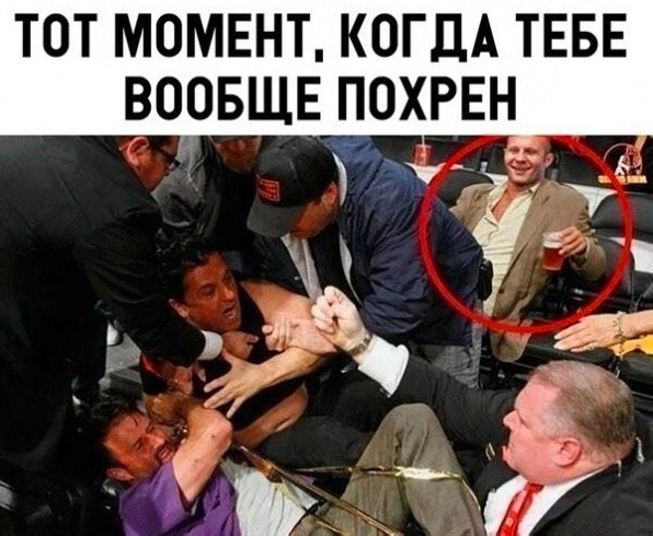 Пятничные веселые картинки: настроение на высоте!