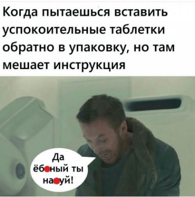 Пятничные веселые картинки: настроение на высоте!