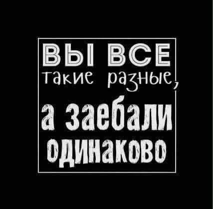Пятничные веселые картинки: настроение на высоте!