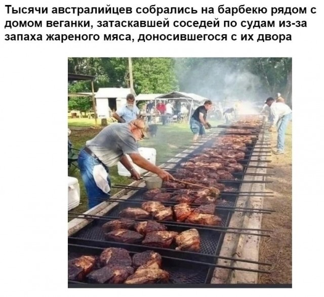 Пятничные веселые картинки: настроение на высоте!