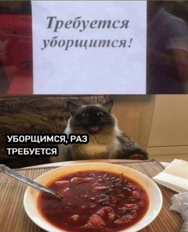 Пятничные веселые картинки: настроение на высоте!