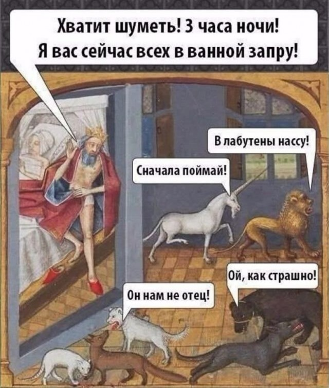 Пятничные веселые картинки: настроение на высоте!