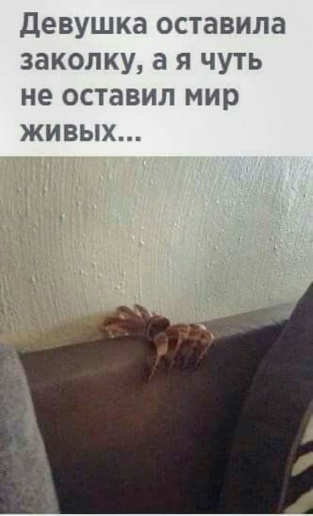 Пятничные веселые картинки: настроение на высоте!