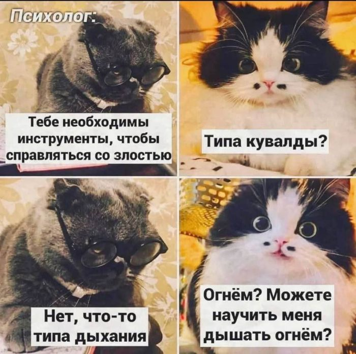 Лучшие мемы и веселые картинки с остроумными подписями