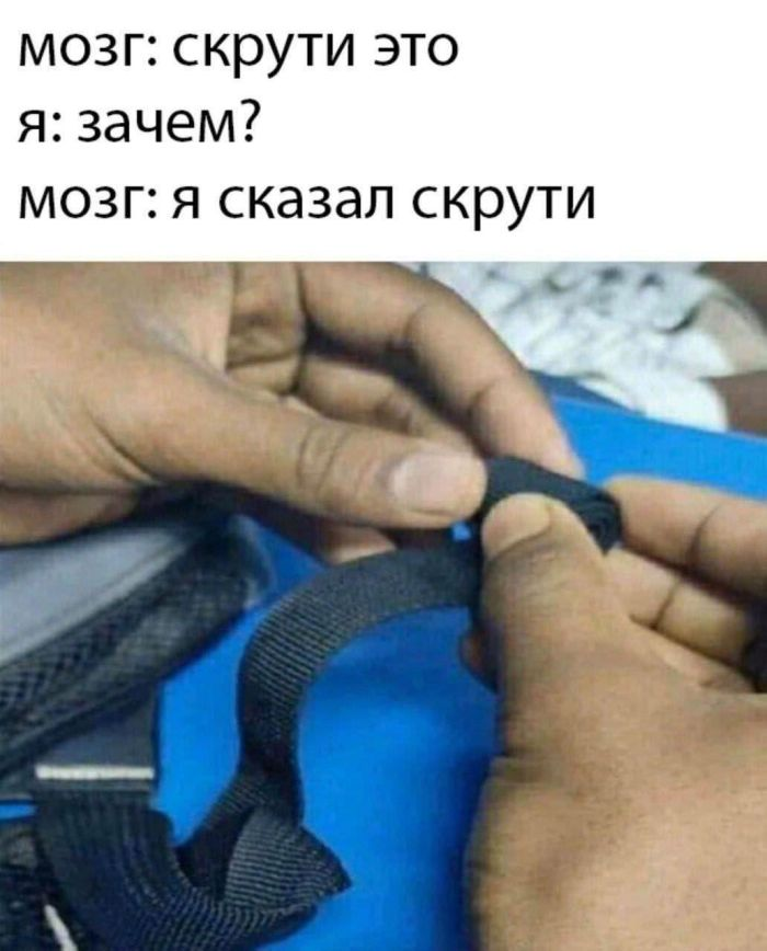 Лучшие мемы и веселые картинки с остроумными подписями
