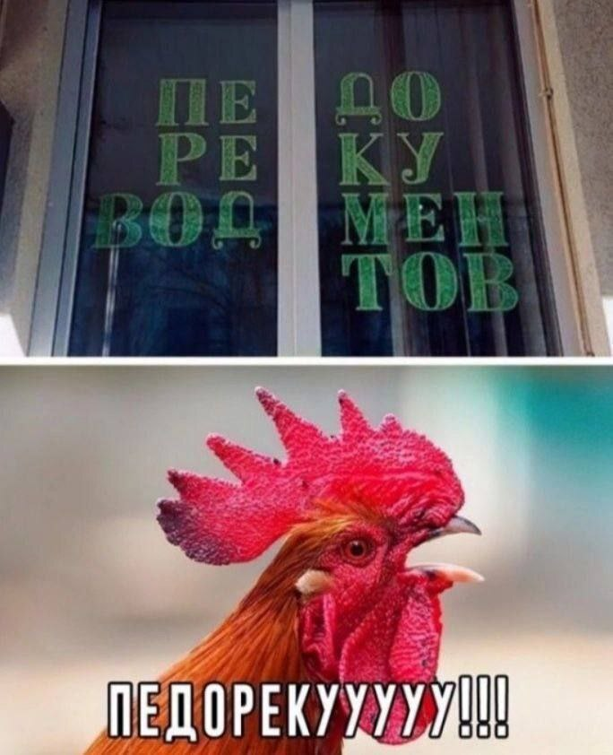 Уикенд-шоу: взрыв смеха с лучшими шутками в мемах