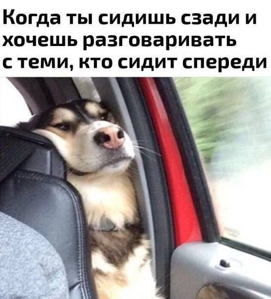 Уикенд-шоу: взрыв смеха с лучшими шутками в мемах