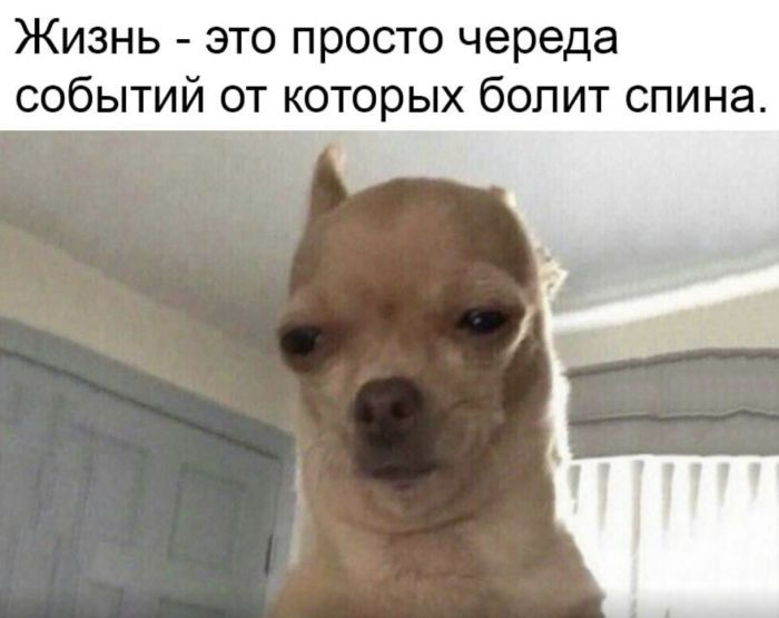 Уикенд-шоу: взрыв смеха с лучшими шутками в мемах