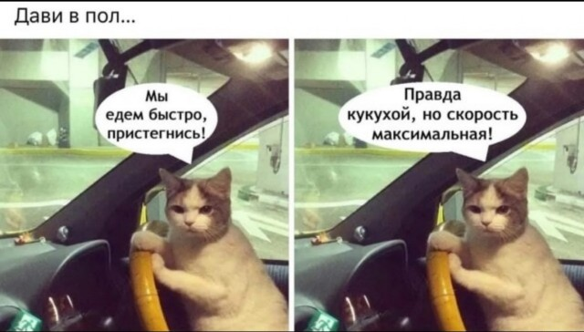 Уикенд-шоу: взрыв смеха с лучшими шутками в мемах