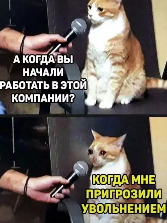 Уикенд-шоу: взрыв смеха с лучшими шутками в мемах
