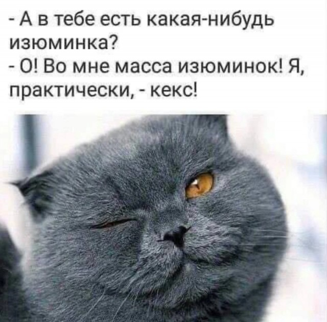 Ржачный выходной: смехотворные шутки в картинках