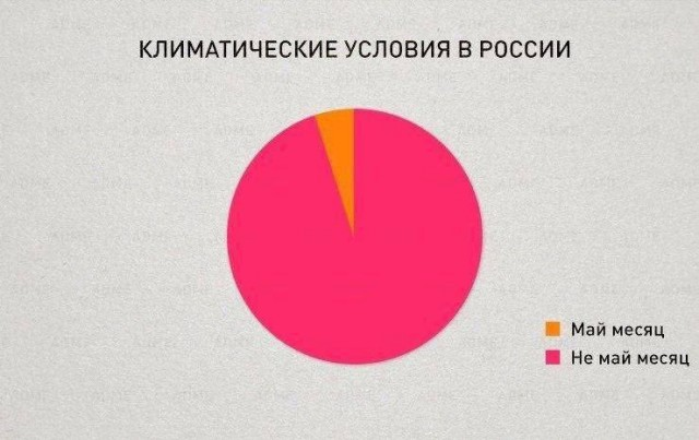 Ржачный выходной: смехотворные шутки в картинках