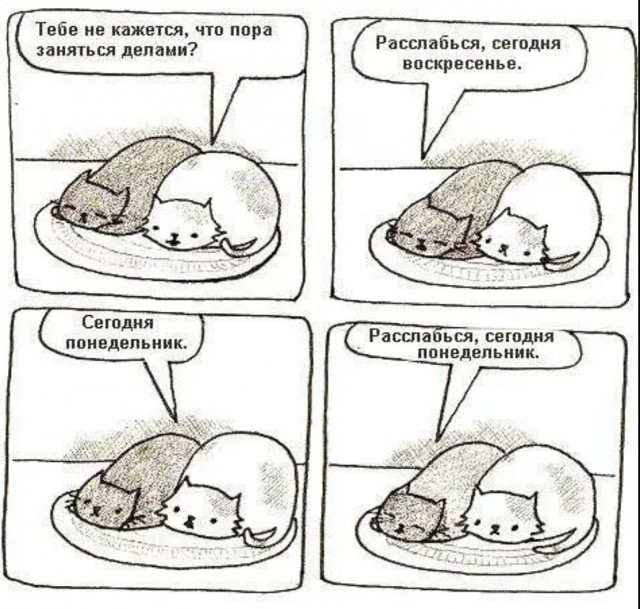 Ржачный выходной: смехотворные шутки в картинках