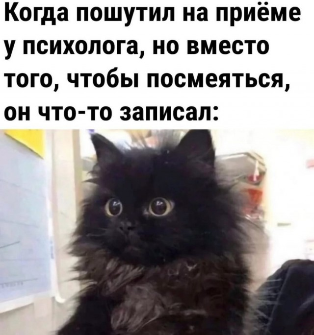 Ржачный выходной: смехотворные шутки в картинках