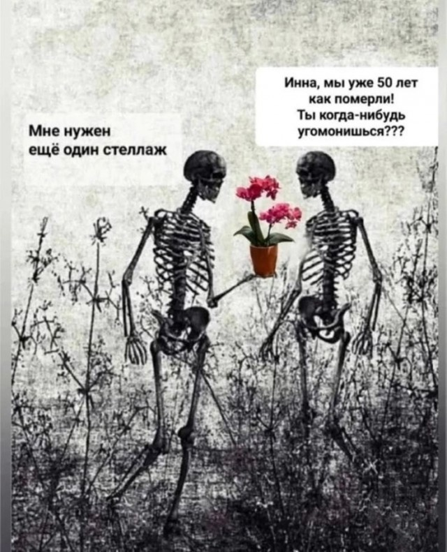 Ржачный выходной: смехотворные шутки в картинках
