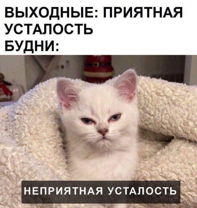 Ржачный выходной: смехотворные шутки в картинках