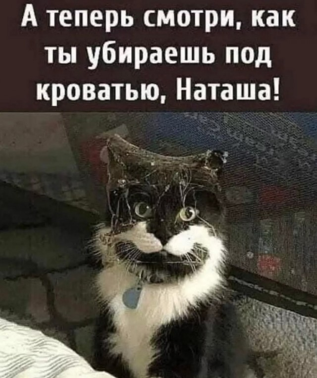 Ржачный выходной: смехотворные шутки в картинках