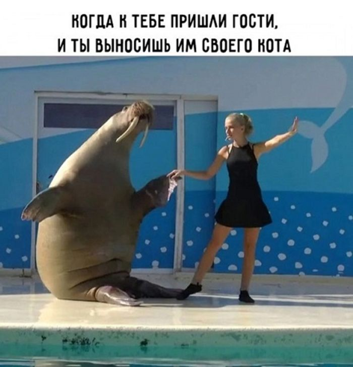 Подними своё настроение с помощью черного юмора