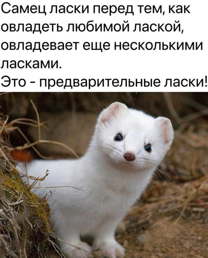 Подними своё настроение с помощью черного юмора