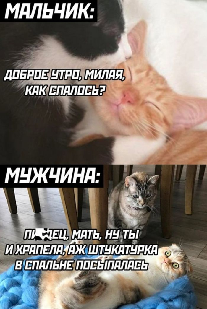 Подними своё настроение с помощью черного юмора