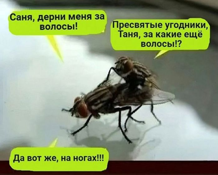 Подними своё настроение с помощью черного юмора