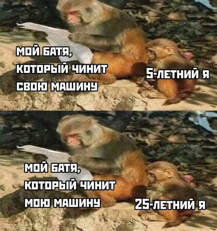 Подними своё настроение с помощью черного юмора