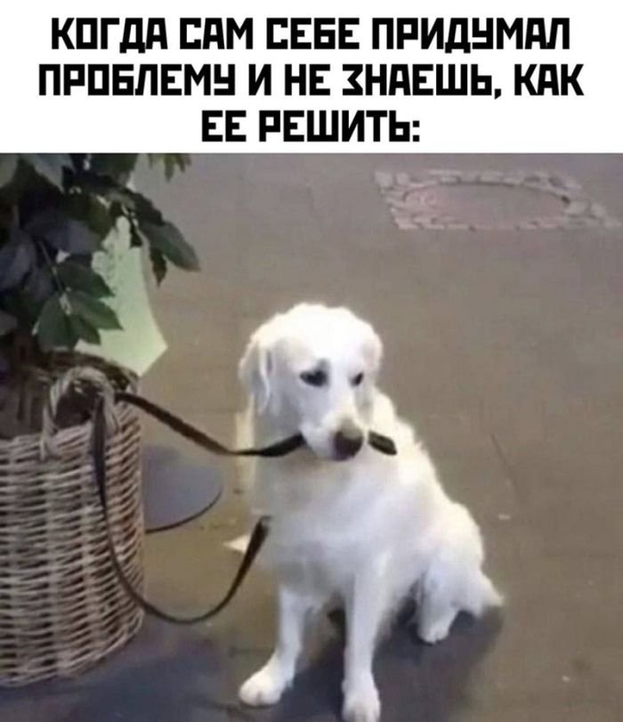 Подними своё настроение с помощью черного юмора