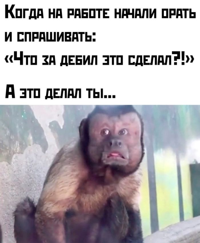 Подними своё настроение с помощью черного юмора