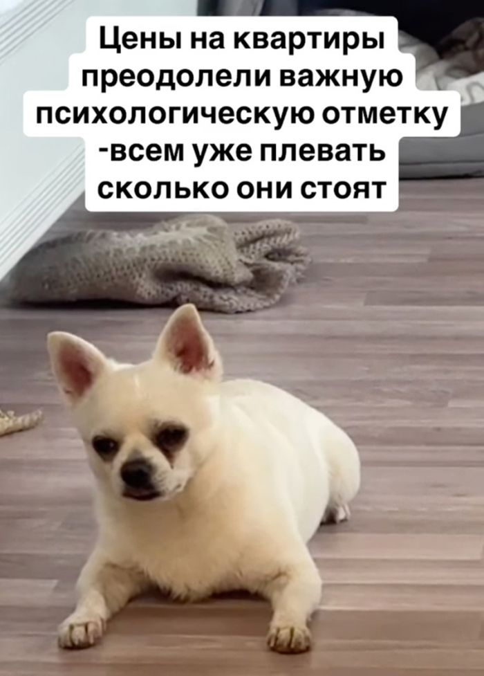 Подними своё настроение с помощью черного юмора