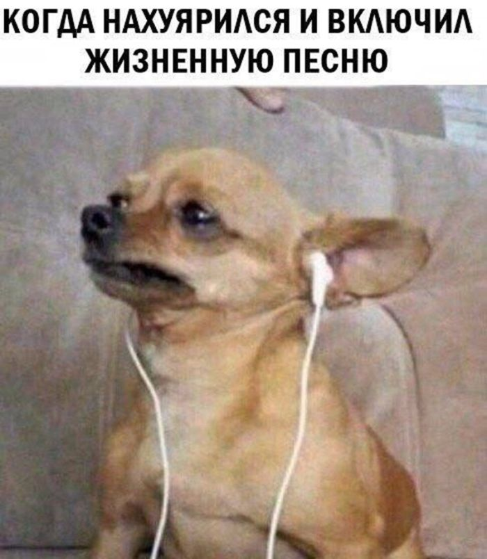 Подними своё настроение с помощью черного юмора
