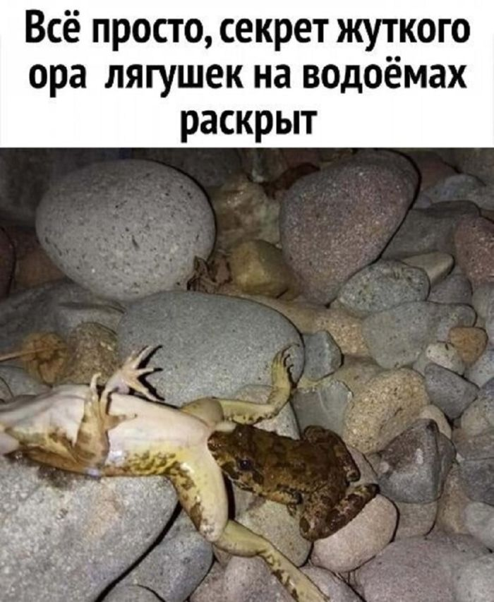 Чёрный юмор: Когда смешно до слёз и немного неловко