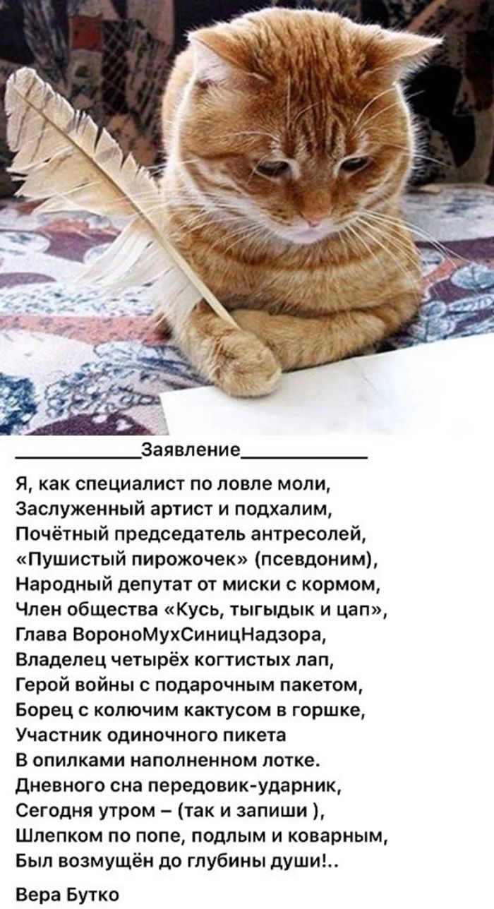 Чёрный юмор: Когда смешно до слёз и немного неловко