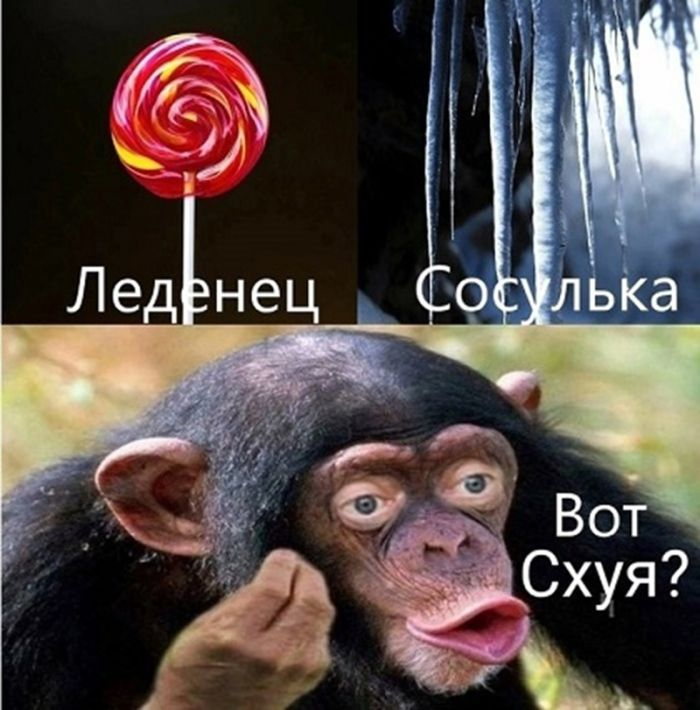 Чёрный юмор: Когда смешно до слёз и немного неловко