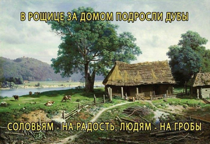 Чёрный юмор: Когда смешно до слёз и немного неловко