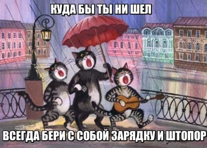 Черная жемчужина юмора: острые шутки для взрослых