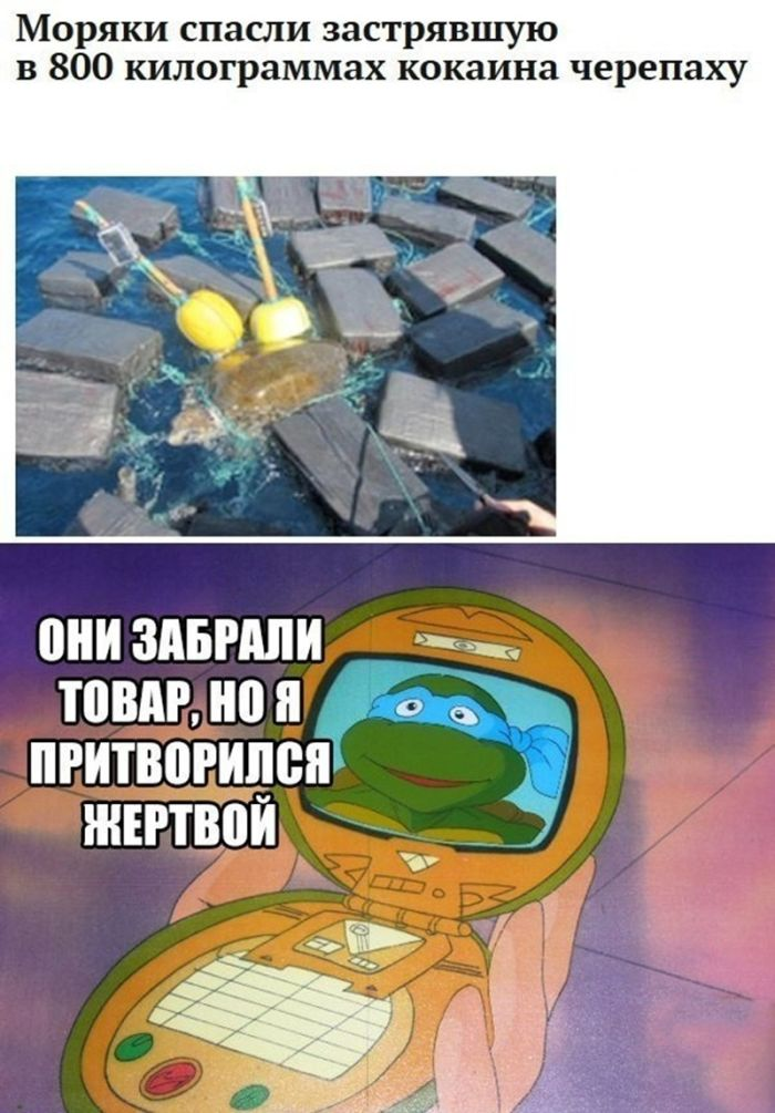 Черная жемчужина юмора: острые шутки для взрослых