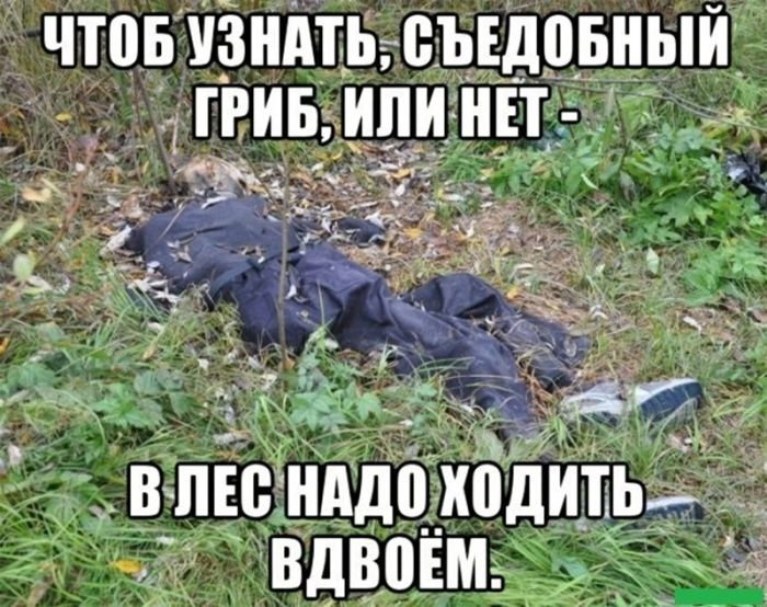 Черная жемчужина юмора: острые шутки для взрослых